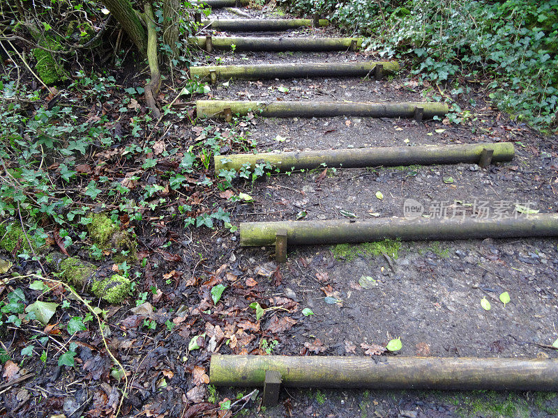 林地花园山坡上的原木台阶/楼梯的图像